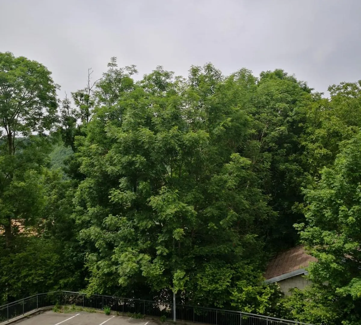 Apartment Residence La Pineta Serina  Italy